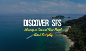 discover-sfs-meaning-in-text-and-how-people-use-it-everyday