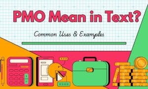 pmo-mean-in-text-common-uses-and-examples